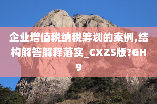 企业增值税纳税筹划的案例,结构解答解释落实_CXZS版?GH9