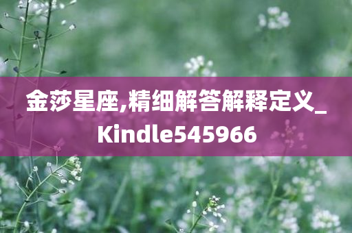 金莎星座,精细解答解释定义_Kindle545966