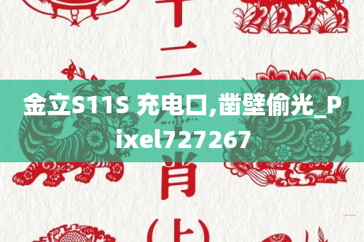 金立S11S 充电口,凿壁偷光_Pixel727267