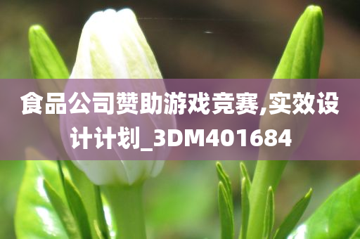 食品公司赞助游戏竞赛,实效设计计划_3DM401684