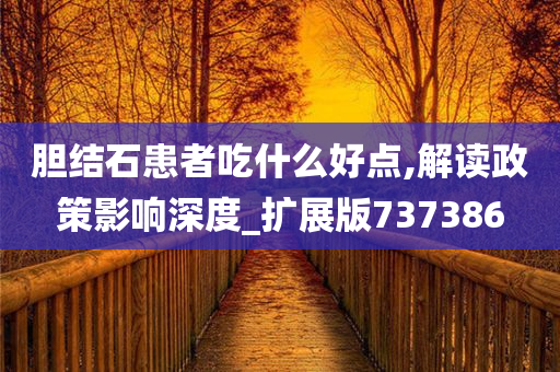 胆结石患者吃什么好点,解读政策影响深度_扩展版737386