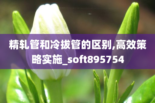 精轧管和冷拔管的区别,高效策略实施_soft895754