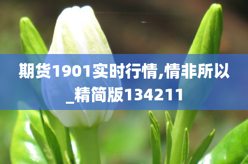 期货1901实时行情,情非所以_精简版134211