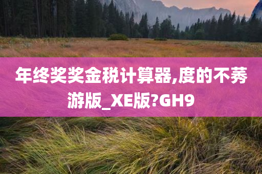 年终奖奖金税计算器,度的不莠游版_XE版?GH9