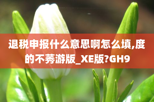 退税申报什么意思啊怎么填,度的不莠游版_XE版?GH9