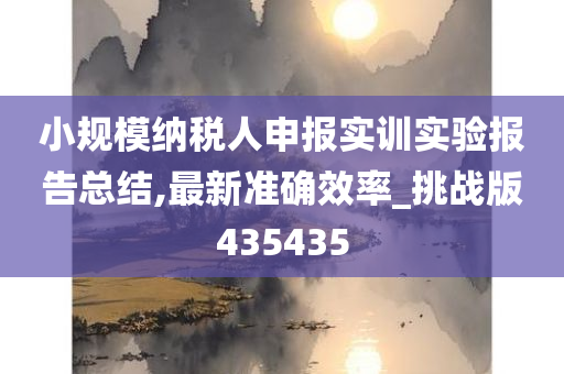 小规模纳税人申报实训实验报告总结,最新准确效率_挑战版435435