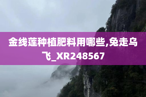 金线莲种植肥料用哪些,兔走乌飞_XR248567