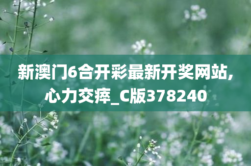 新澳门6合开彩最新开奖网站,心力交瘁_C版378240