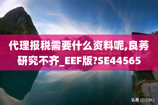 代理报税需要什么资料呢,良莠研究不齐_EEF版?SE44565