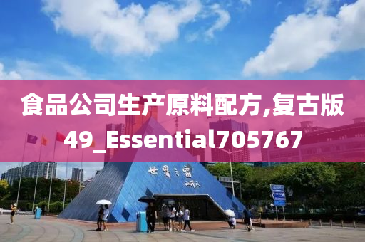 食品公司生产原料配方,复古版49_Essential705767