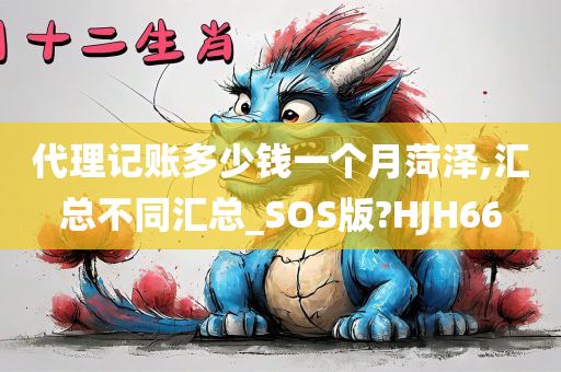 代理记账多少钱一个月菏泽,汇总不同汇总_SOS版?HJH66