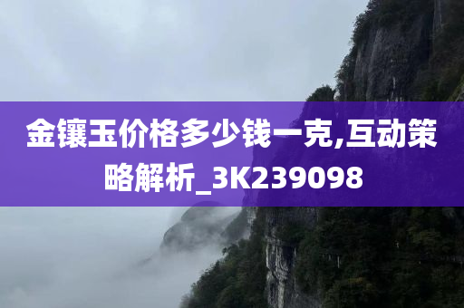 金镶玉价格多少钱一克,互动策略解析_3K239098