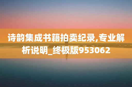 诗韵集成书籍拍卖纪录,专业解析说明_终极版953062