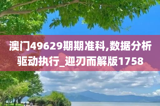 澳门49629期期准科,数据分析驱动执行_迎刃而解版1758