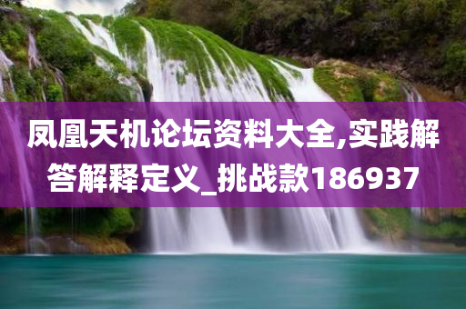 凤凰天机论坛资料大全,实践解答解释定义_挑战款186937