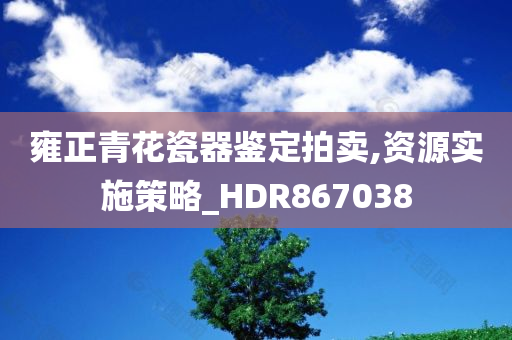 雍正青花瓷器鉴定拍卖,资源实施策略_HDR867038