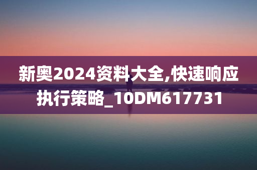 新奥2024资料大全,快速响应执行策略_10DM617731