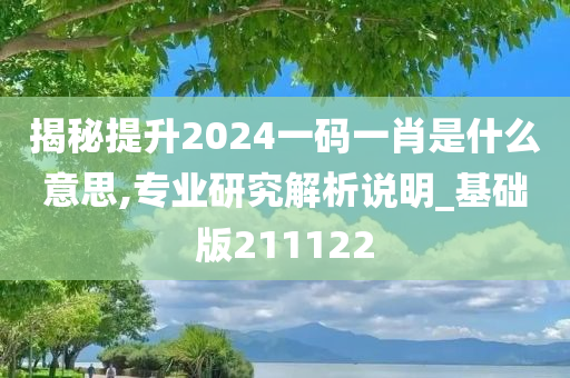 揭秘提升2024一码一肖是什么意思,专业研究解析说明_基础版211122