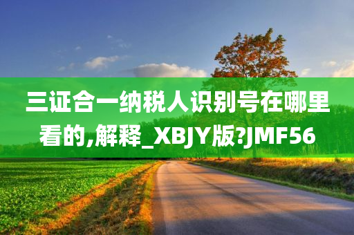 三证合一纳税人识别号在哪里看的,解释_XBJY版?JMF56