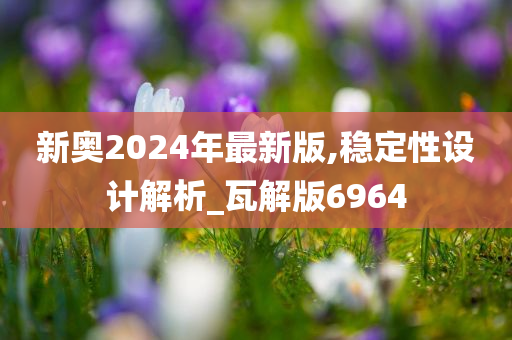 新奥2024年最新版,稳定性设计解析_瓦解版6964