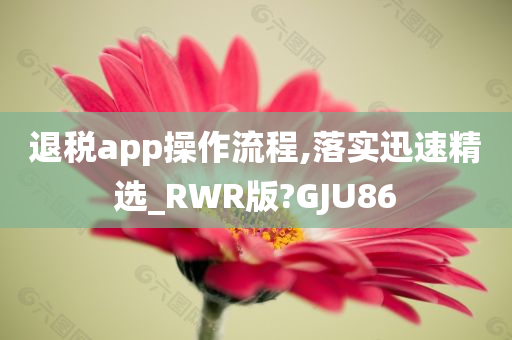 退税app操作流程,落实迅速精选_RWR版?GJU86