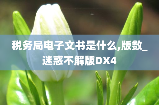 税务局电子文书是什么,版数_迷惑不解版DX4