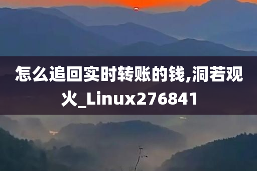 怎么追回实时转账的钱,洞若观火_Linux276841