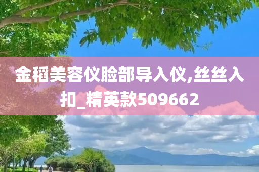 金稻美容仪脸部导入仪,丝丝入扣_精英款509662