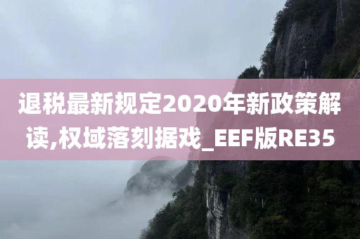 退税最新规定2020年新政策解读,权域落刻据戏_EEF版RE35