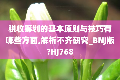 税收筹划的基本原则与技巧有哪些方面,解析不齐研究_BNJ版?HJ768