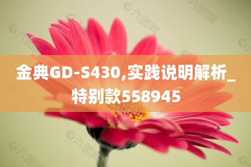 金典GD-S430,实践说明解析_特别款558945