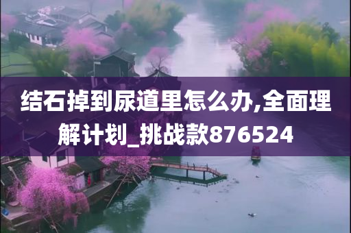 结石掉到尿道里怎么办,全面理解计划_挑战款876524