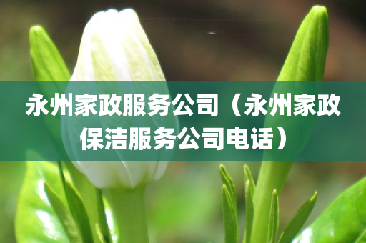 永州家政服务公司（永州家政保洁服务公司电话）