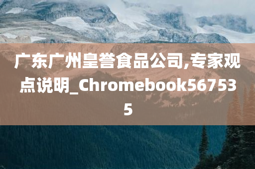 广东广州皇誉食品公司,专家观点说明_Chromebook567535