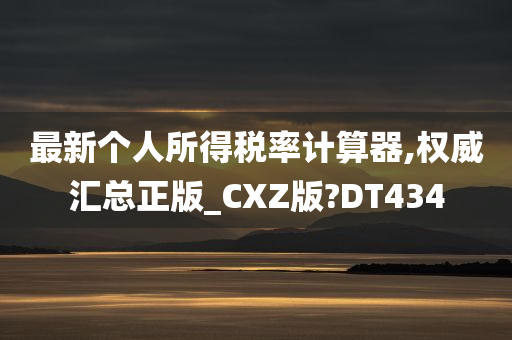 最新个人所得税率计算器,权威汇总正版_CXZ版?DT434