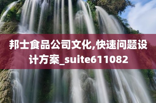 邦士食品公司文化,快速问题设计方案_suite611082