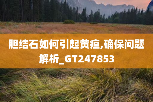 胆结石如何引起黄疸,确保问题解析_GT247853