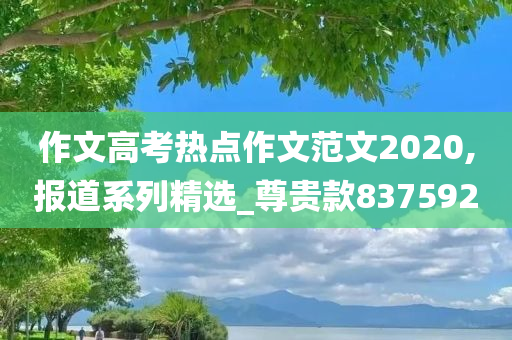 作文高考热点作文范文2020,报道系列精选_尊贵款837592