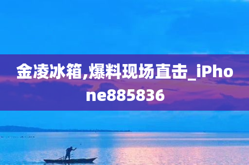 金凌冰箱,爆料现场直击_iPhone885836