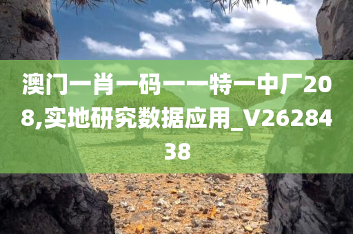 澳门一肖一码一一特一中厂208,实地研究数据应用_V2628438