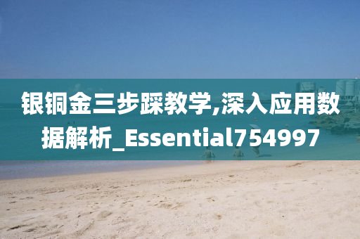 银铜金三步踩教学,深入应用数据解析_Essential754997