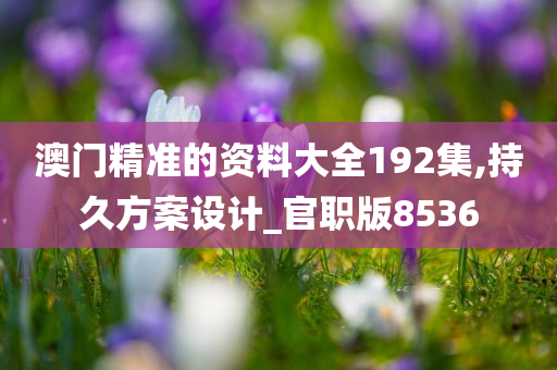 澳门精准的资料大全192集,持久方案设计_官职版8536