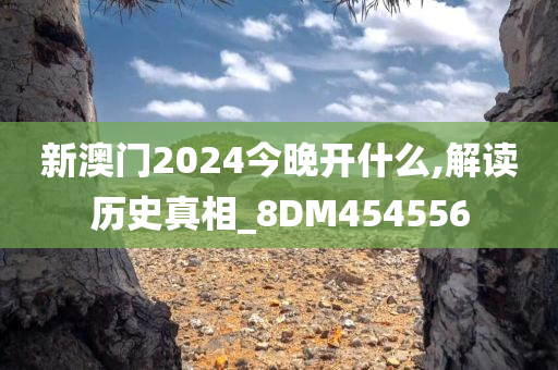 新澳门2024今晚开什么,解读历史真相_8DM454556