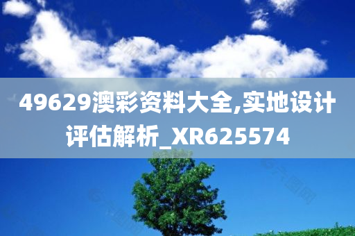 49629澳彩资料大全,实地设计评估解析_XR625574