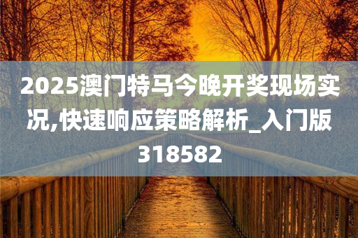 2025澳门特马今晚开奖现场实况,快速响应策略解析_入门版318582