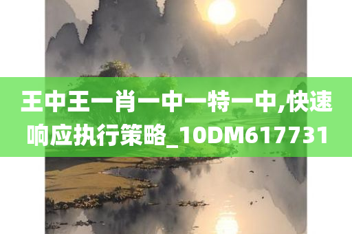 王中王一肖一中一特一中,快速响应执行策略_10DM617731