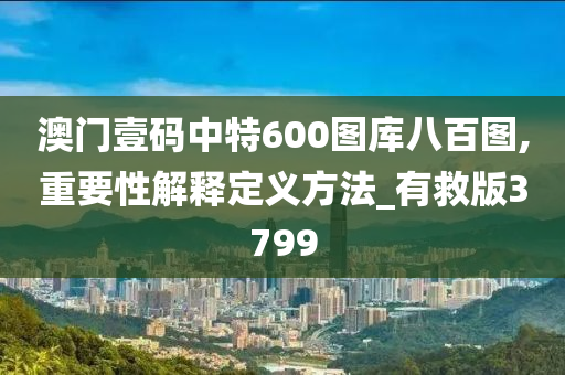 澳门壹码中特600图库八百图,重要性解释定义方法_有救版3799