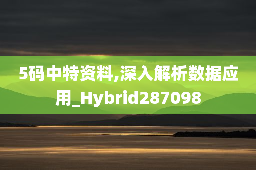 5码中特资料,深入解析数据应用_Hybrid287098