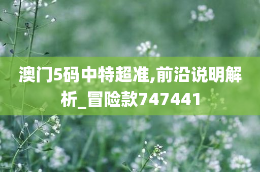 澳门5码中特超准,前沿说明解析_冒险款747441