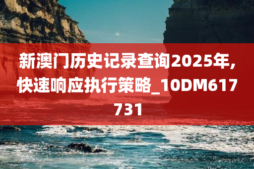 新澳门历史记录查询2025年,快速响应执行策略_10DM617731